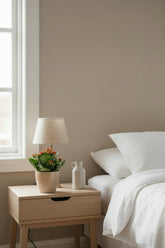 Kalanchoe &