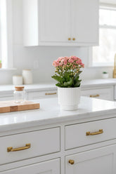Kalanchoé rose i hvid keramisk potte - H27 cm | Potte Ø12 cm - Verdeia - 3