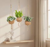 Kokodama Jungle Mix — Lot de 3 — Ø17 cm — H28 cm - Verdeia - 2