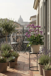 Limonium Salt Lake (Statice) H60 cm | Pot Ø19 cm - Verdeia - 4