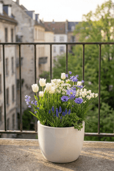 Mélange de bulbes de printemps bleu et blanc — Bulbes calibre 10/12 - Verdeia - 3
