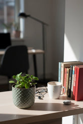 Mini maceta - maceta de cerámica con relieve verde — Ø7 cm - Verdeia - 4