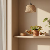 Nepenthes ‘Gaya’ — Tropical carnivorous plant - Verdeia - 3