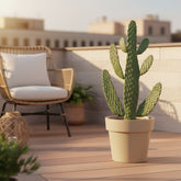 Opuntia Rubescens Consolea — Cactus raqueta - Verdeia - 4