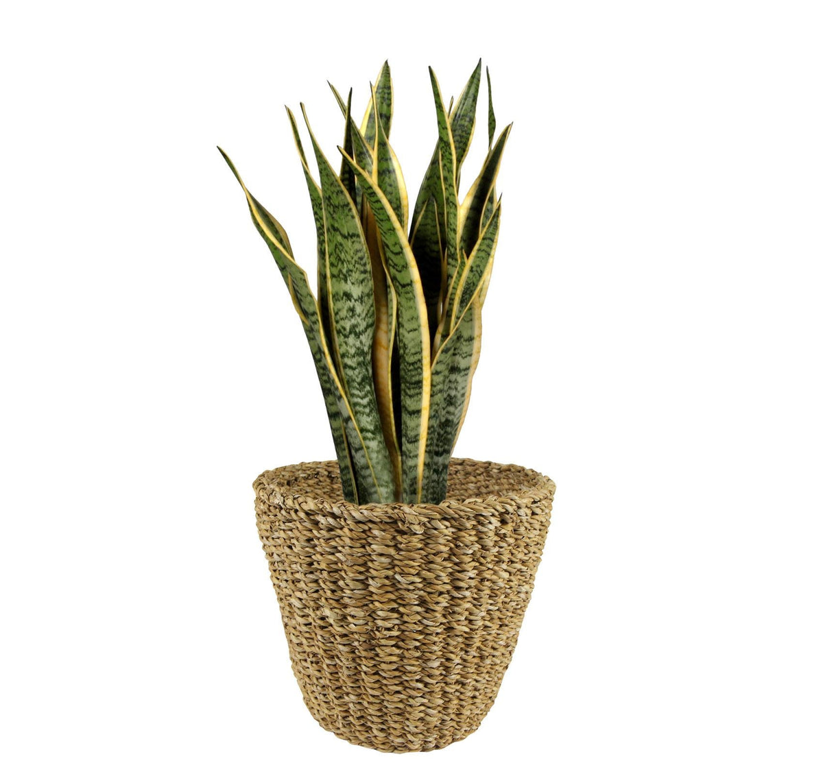 Panier Jip (Cache-pot en fibres naturelles) - Verdeia - 3