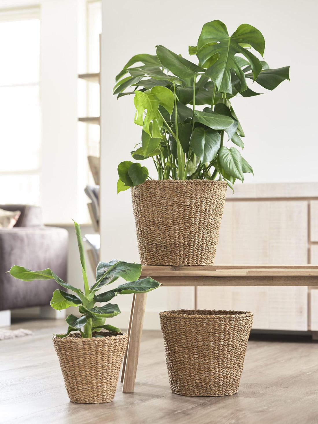 Panier Jip (Cache-pot en fibres naturelles) - Verdeia - 2