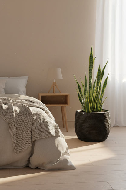 Cesta Jorck Negra — Maceta de fibras naturales Ø26 cm - Verdeia - 4