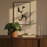 Peperomia sarcophylla sobre un moble de fusta fosca