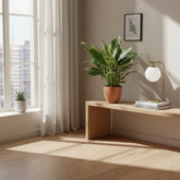 Filodendro Diamond Variegata - Verdeia - 3