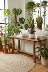 Philodendron Imperial Red — Filodendro imperial rojo - Verdeia - 7