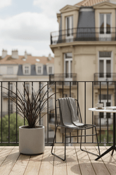 Phormium Rubra Nana (Lin de Nouvelle - Zélande rouge) - Verdeia - 4