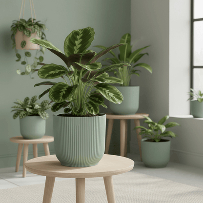 Pot ELHO Vibes Fold Round – Vert – Élégance naturelle &amp; design durable - Verdeia