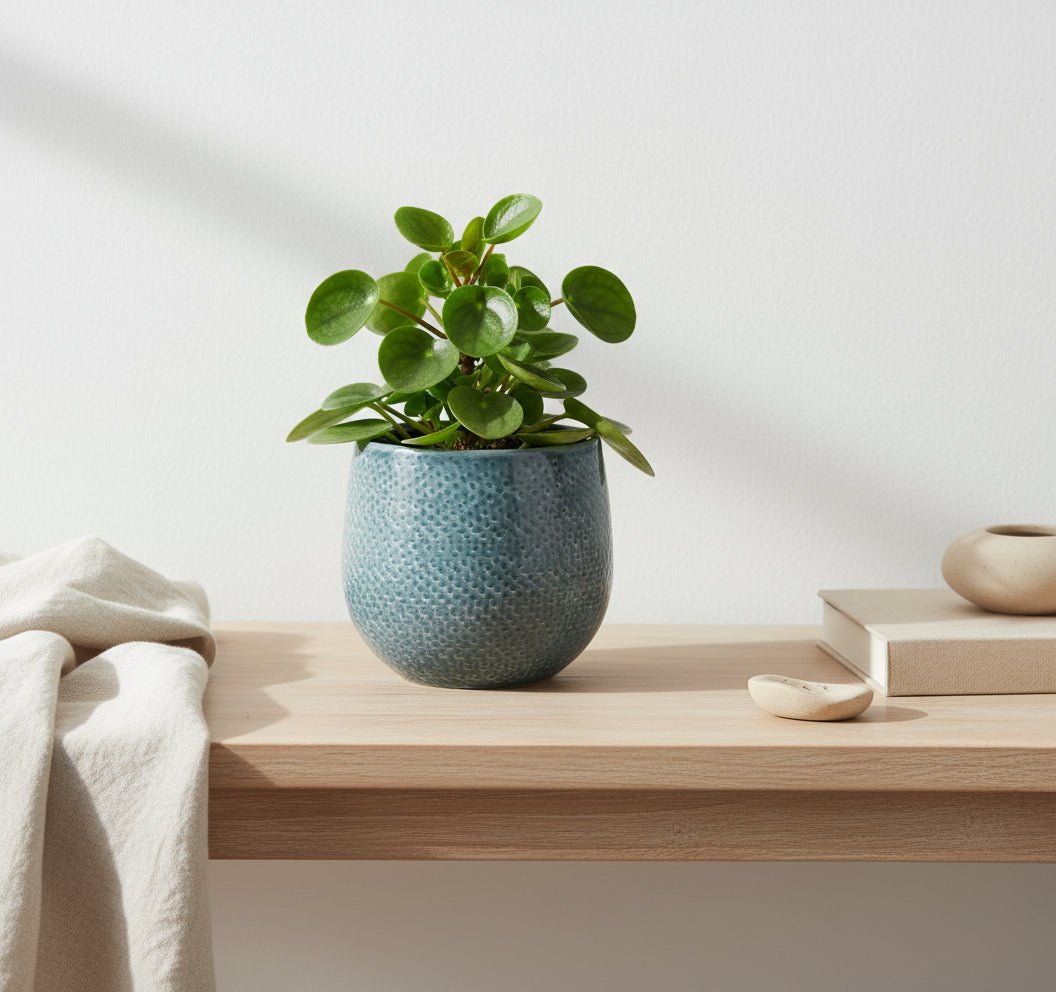 Pot en Céramique Gabriel Rond Bleu Ø14 cm - Verdeia