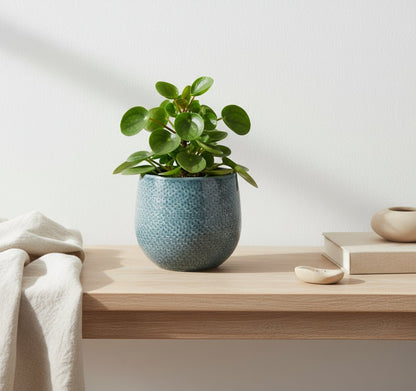 Pot en Céramique Gabriel Rond Bleu Ø14 cm - Verdeia