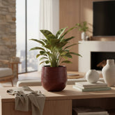 Cache - Gabriel ceramic pot Bordeaux Ø14 cm placed on a shelf in a living room with a plant inside