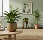 Maceta - macetero Gabriel — Cerámica ocre Ø14 cm - Verdeia - 3