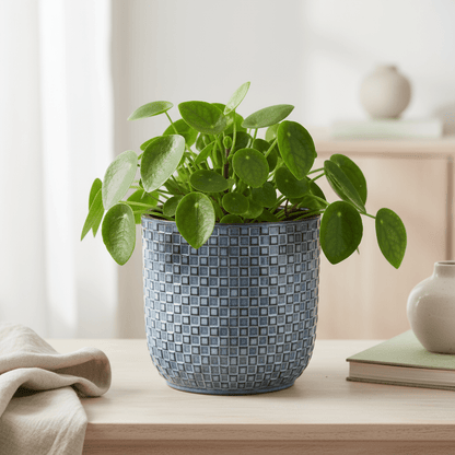 Pot en Céramique Relief Bleu - Verdeia