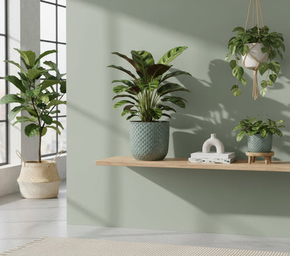 Pot en Céramique Relief Vert — Élégance naturelle &amp; éclat végétal - Verdeia