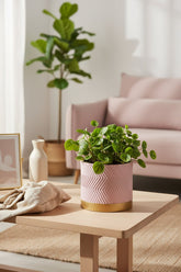 matte groovy rose cachepot on a coffee table in front of a pink sofa