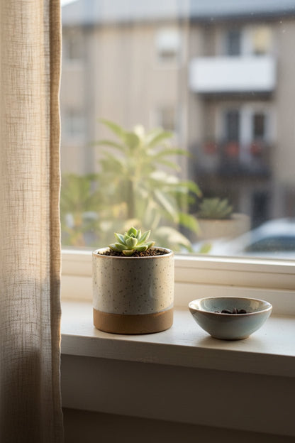 Maceta Lago redonda crema con una suculenta frente a una ventana