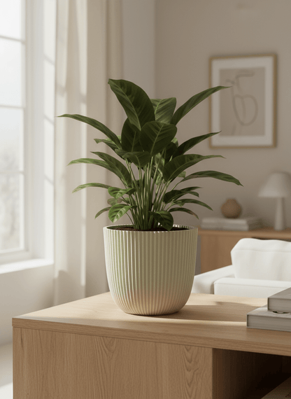 Pot rond texturé beige Capi - Verdeia