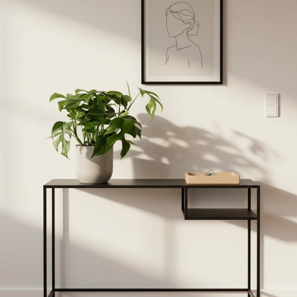 Rhaphidophora tetrasperma — Monstera Minima - Verdeia - 5