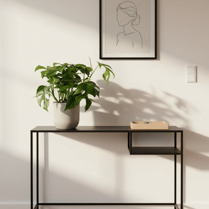 Rhaphidophora tetrasperma — Monstera Minima - Verdeia - 5