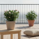 Rosa Jewel Patio Baby — Ø17 x A30 cm - Verdeia - 5