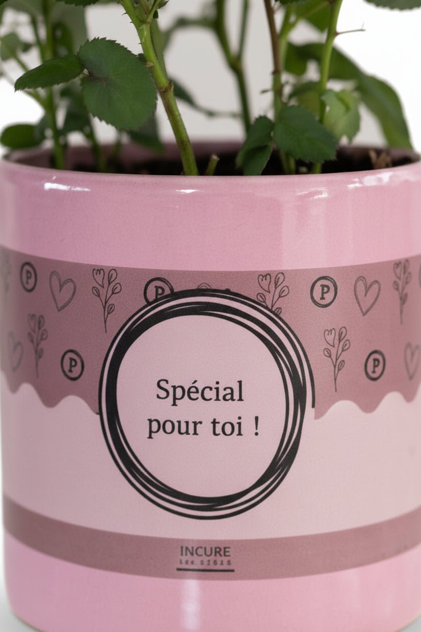 Rosa Light Pink &