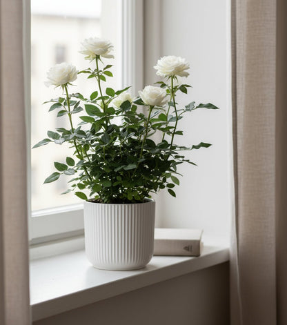 Rosal enano blanco — Ø12 x H30 cm — Listo para colocar — Cerámica blanca - Verdeia - 4