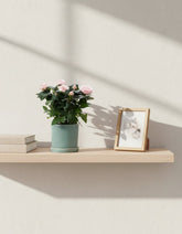 Rosal enano rosa pálido — Ø12 x H30 cm — Listo para colocar — Cerámica azul - Verdeia - 4