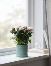 Rosal enano rosa pálido — Ø12 x H30 cm — Listo para colocar — Cerámica azul - Verdeia - 5