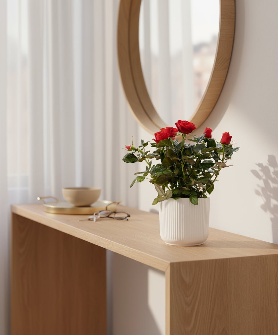 Rosal enano rojo — Ø12 x H30 cm — Listo para colocar — Cerámica blanca - Verdeia - 3