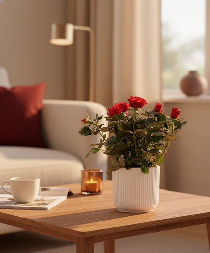 Rosal enano rojo — Ø12 x H30 cm — Listo para colocar — Cerámica blanca - Verdeia - 5