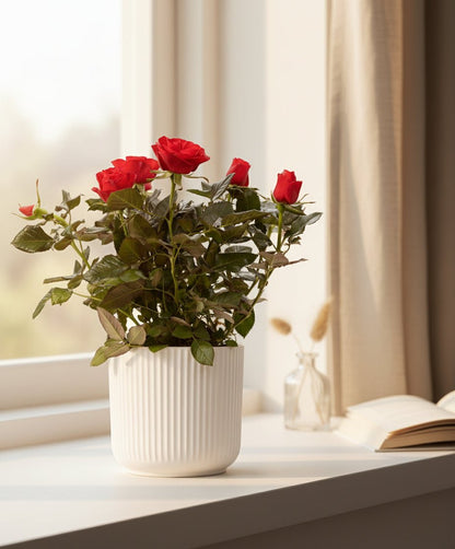 Rosal enano rojo — Ø12 x H30 cm — Listo para colocar — Cerámica blanca - Verdeia - 4