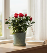 Rosal enano rojo — Ø12 x H30 cm — Listo para colocar — Cerámica verde - Verdeia - 4