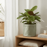 Bolsa oculta - maceta verde jade — Tela impermeable - Verdeia - 3