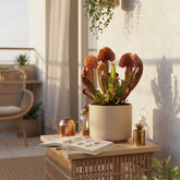 Sarracenia × Catesbaei — Ø12 cm — H23 cm - Verdeia - 4