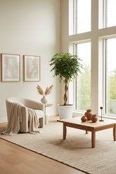 Schefflera arboricola &
