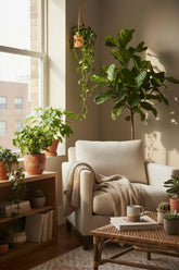 Syngonium Pixie (Planta flecha miniatura) — H20 cm | Maceta Ø12 cm - Verdeia - 4