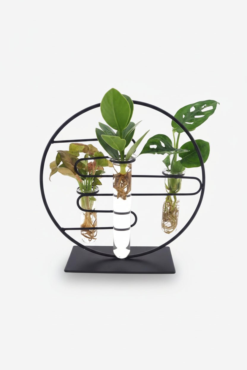 hydroponic plant stand Black Metal Circular Stand Hydroponic Trio