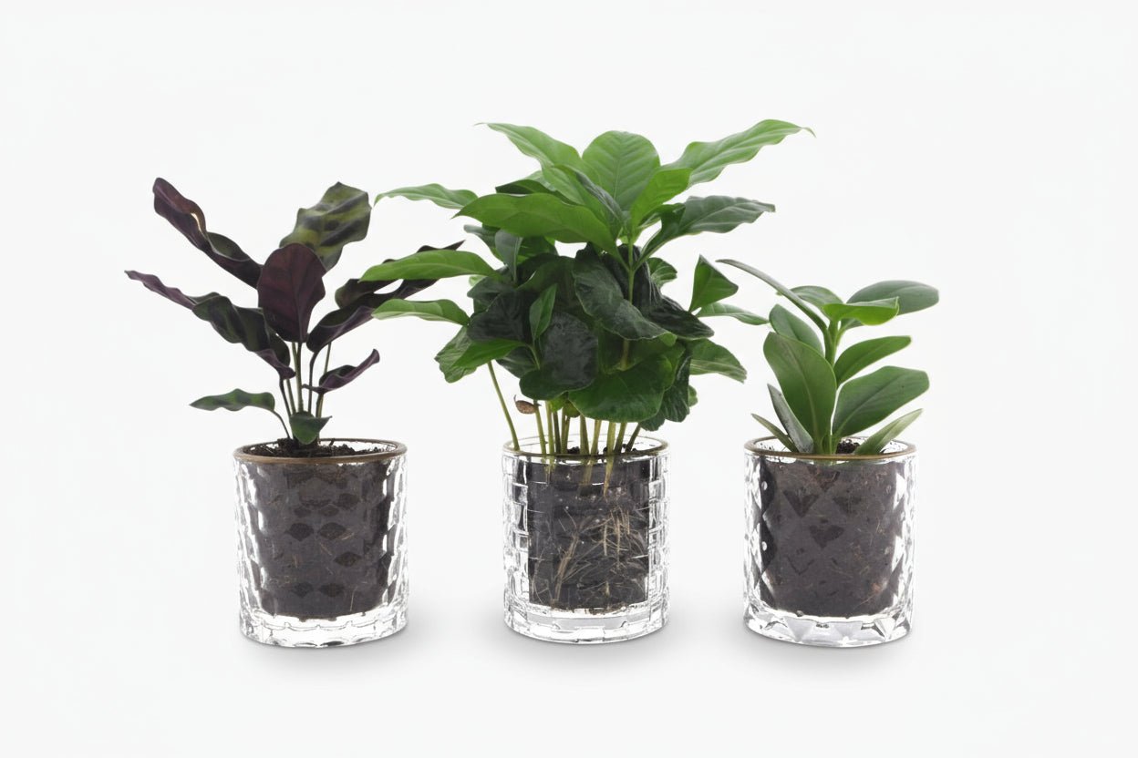 Trio Design Mix 7 x 25 cm - Verdeia