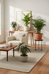 Trio surprise — 3 plantes d&