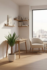 Yucca elephantipes &