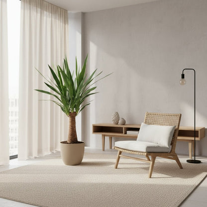 Yucca “Maya Tree” — Ø19 cm — H80 cm - Verdeia